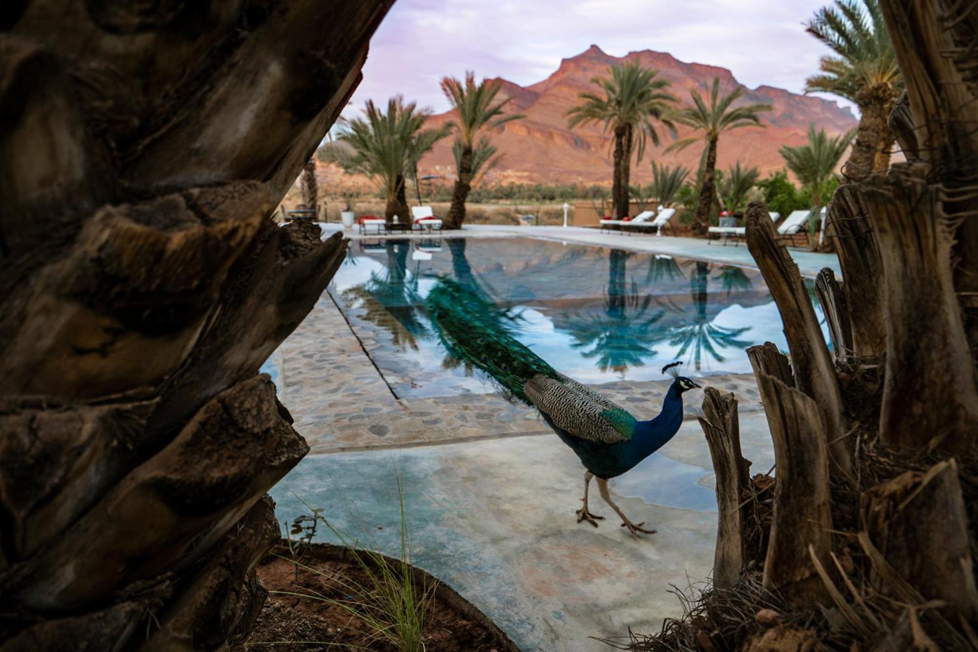 Lodge Hara Oasis Агдез Екстер'єр фото