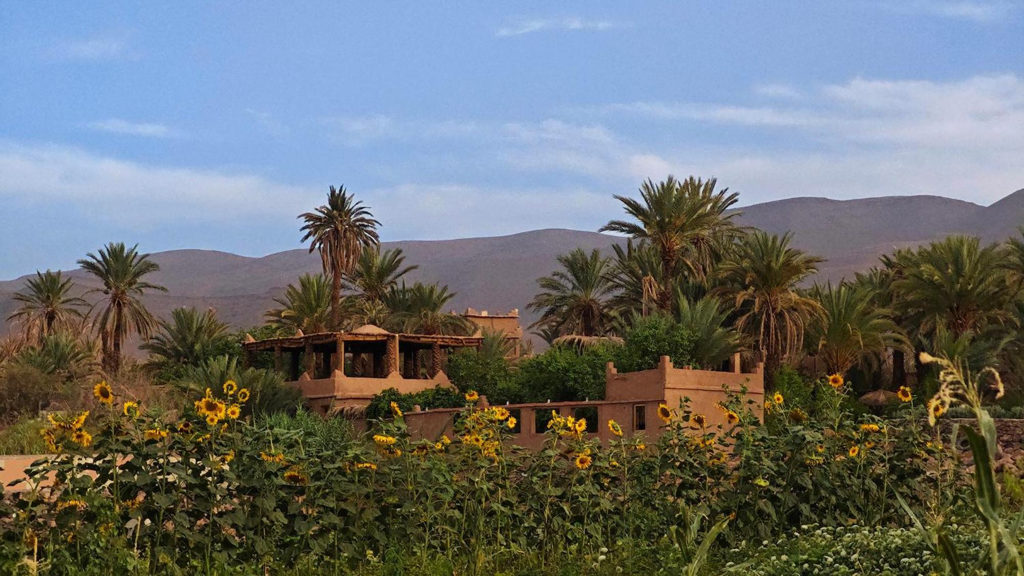 Lodge Hara Oasis Агдез Екстер'єр фото