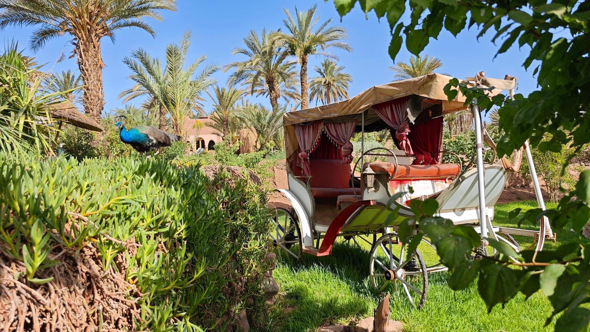 Lodge Hara Oasis Агдез Екстер'єр фото