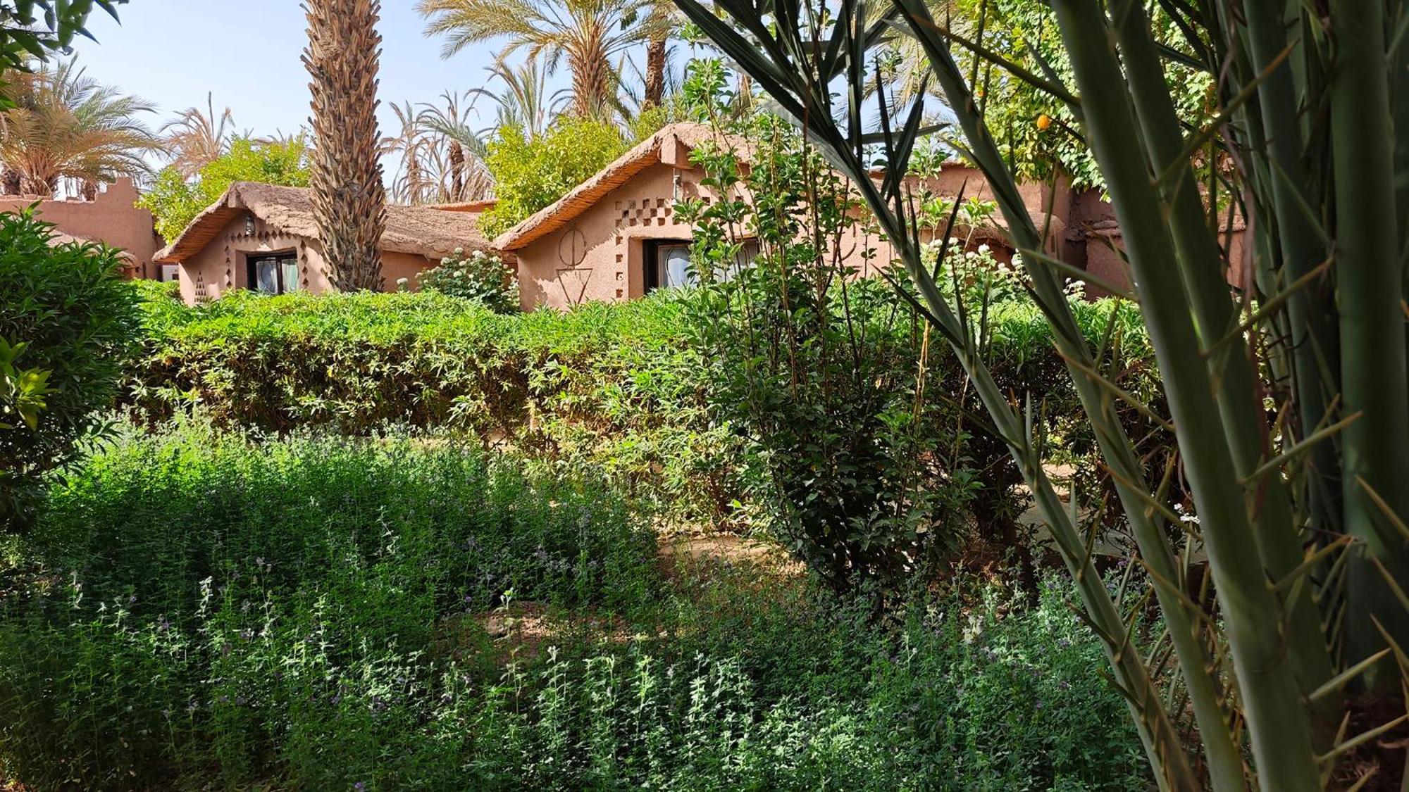 Lodge Hara Oasis Агдез Екстер'єр фото