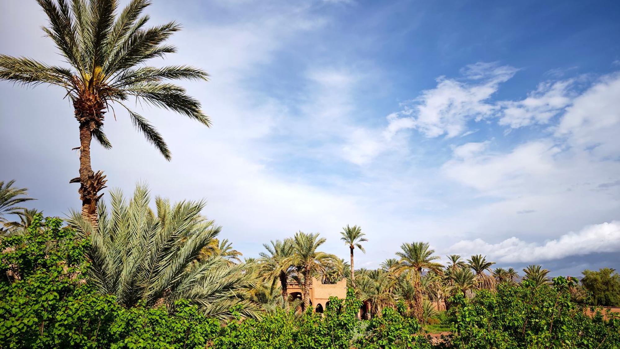 Lodge Hara Oasis Агдез Екстер'єр фото